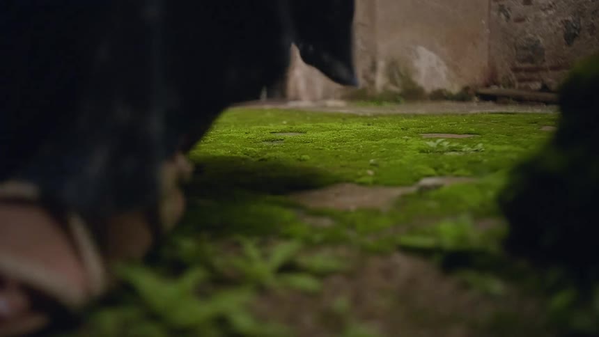 The woman walks over the moss covered walkway