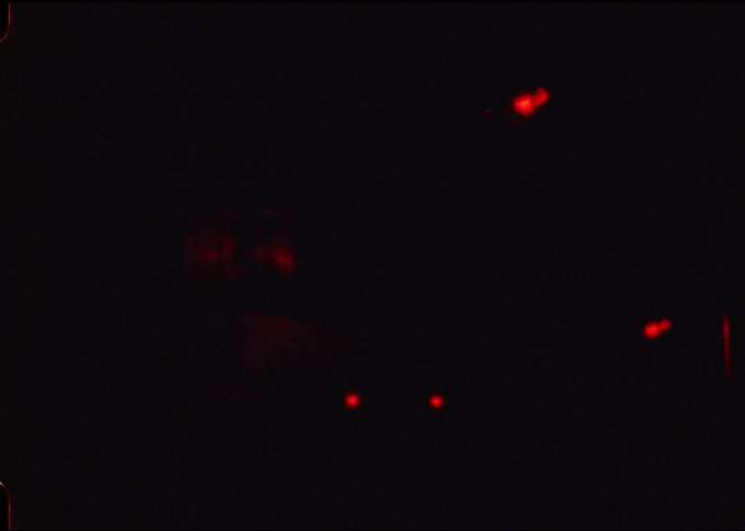 Traffic signals flash at a railroad crossing while a train passes at night