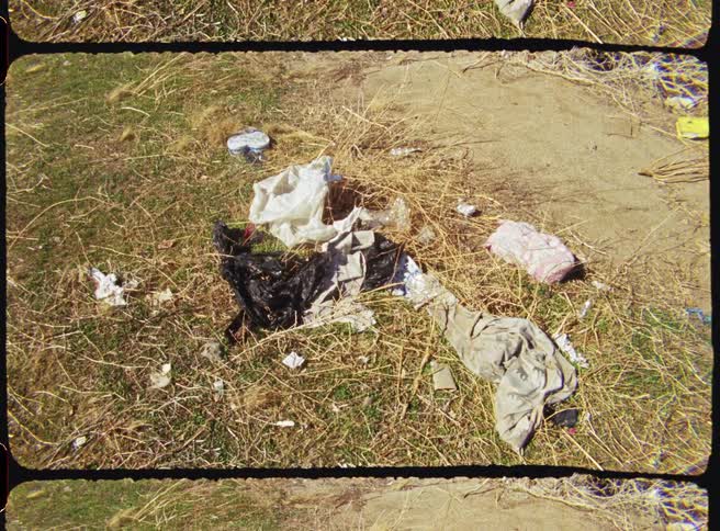 The grass is littered with trash