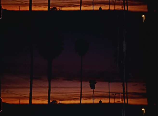 A view of a sunset in a tropical area with palm trees