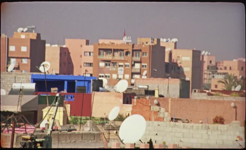 Palm trees above urban rooftops with satellite dishes around