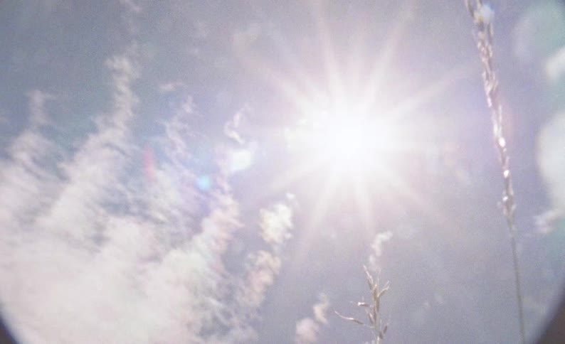 This video features a lowangle shot of a bright sun shining through a hazy cloudfilled sky tall blades of grass flicker in the foreground as a nostalgic lens flare dances across the frame