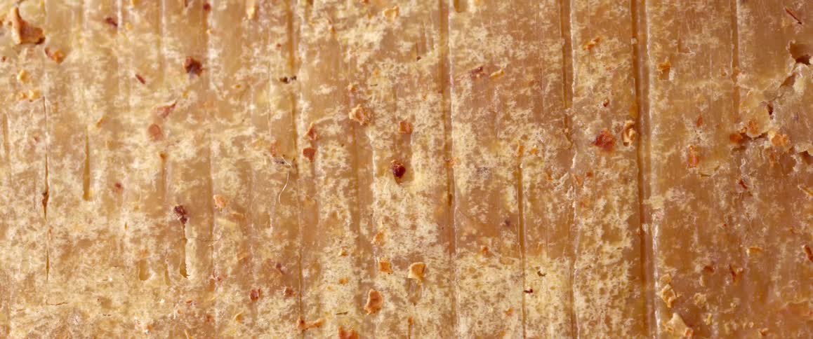 Closeup of an abstract browncolored texture