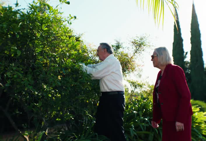 Elderly couple walking together in the yard as he stops to pick an orange from the tree