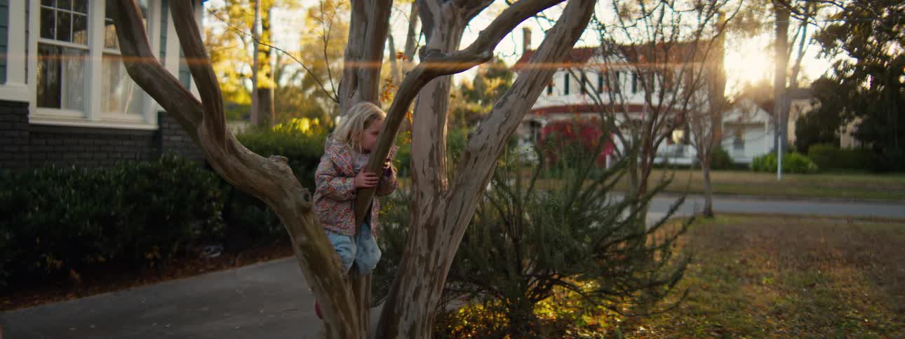 A young girl in a patterned jacket climbs down from the low branches of a multistemmed tree in a yard while another child on a pink bicycle passes by in the background during the golden hour