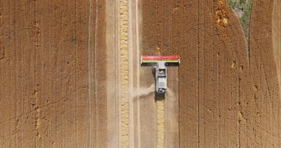 The tractor is working the fields