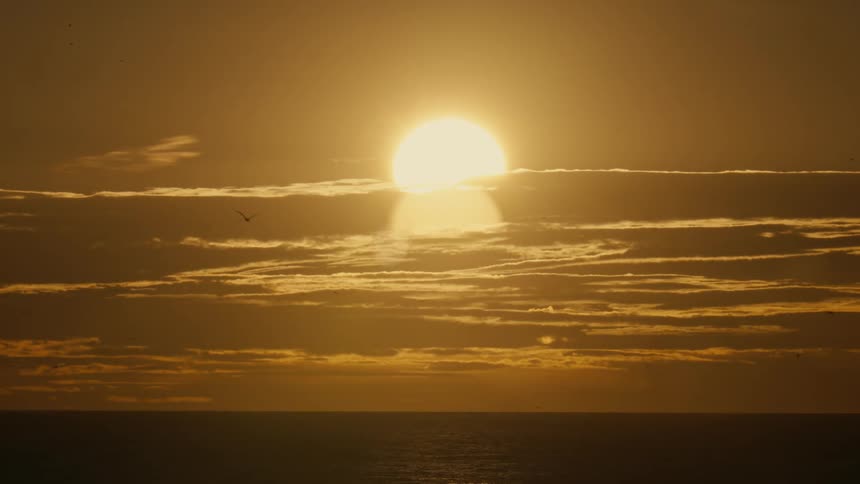 Sun glares from a cloudy red sky onto the ocean as birds fly by