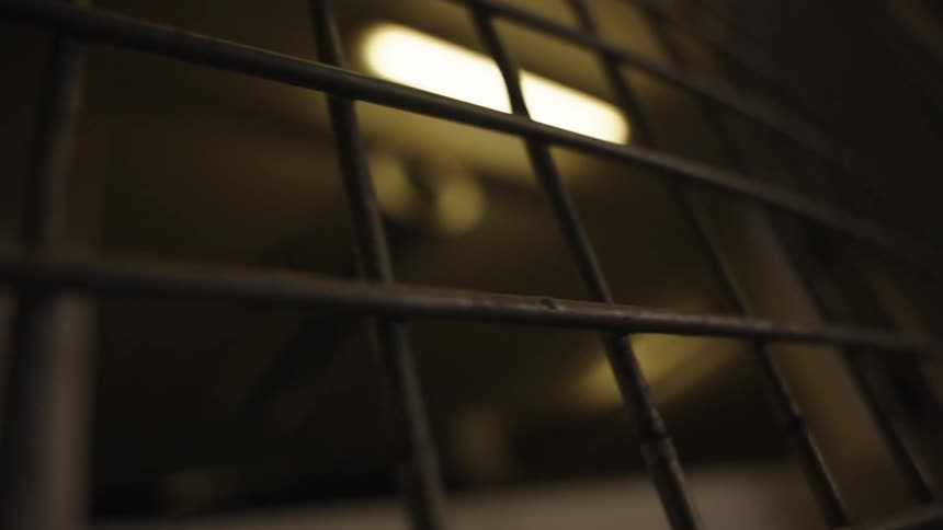 A closeup shot of a dark metal security grate or cage with a single dim fluorescent light fixture visible through the bars in the background