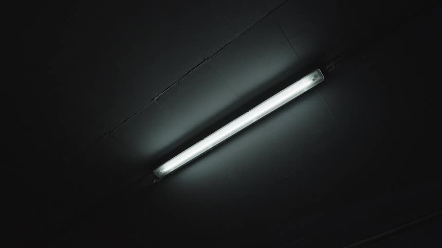 Lit fluorescent light fixture mounted on a dark ceiling