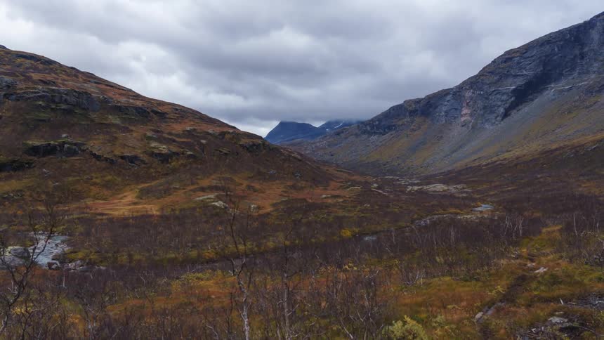Wind blows the grass on the mountains