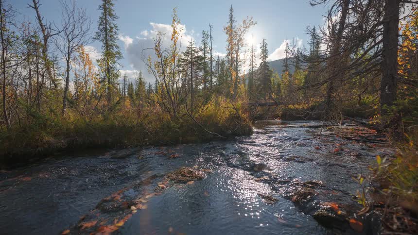 A time lapse of a river in a forest
