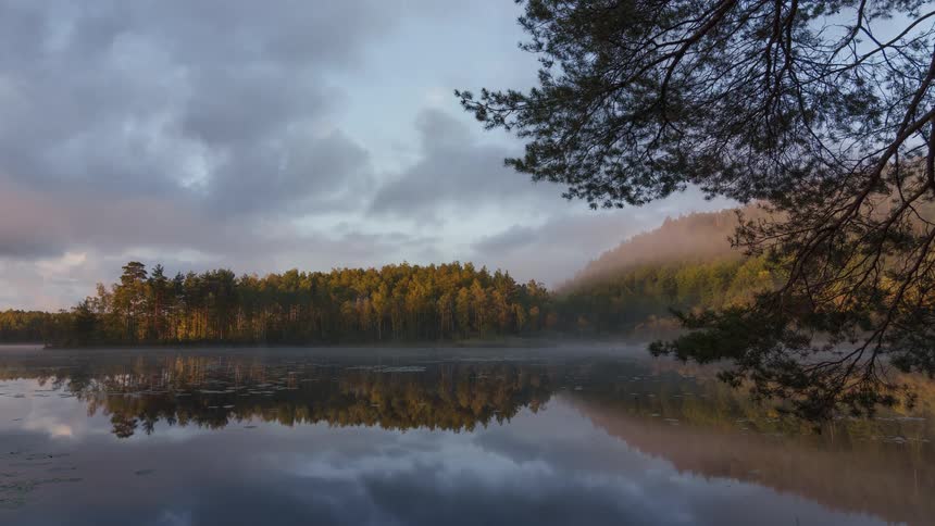Trees on the forested coast reflect on the water as clouds move overhead