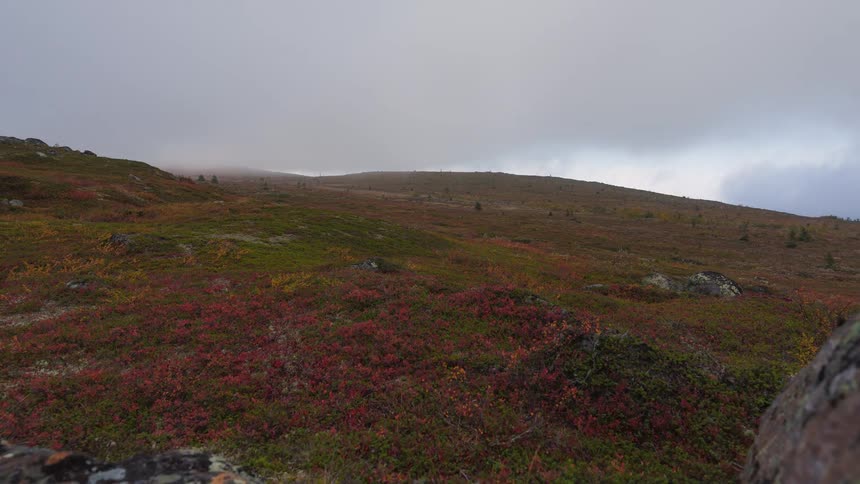 Heavy fog flows over the hills and field