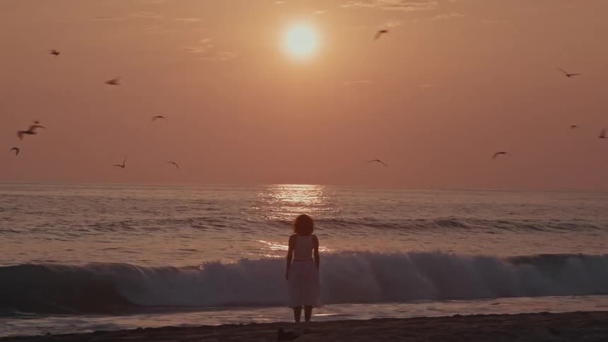 Young woman wearing a dress stands on the beach as waves roll in to shore and seagulls fly overhead as the sun glows in a hazy sky