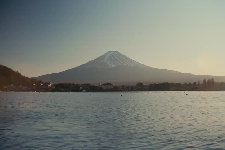 Ducks on the water with buildings and trees on the coast with a mountain in the distance
