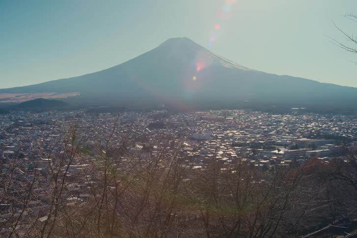 Japanese cityscape with mount fuji in the background and bare branches in the foreground during winter