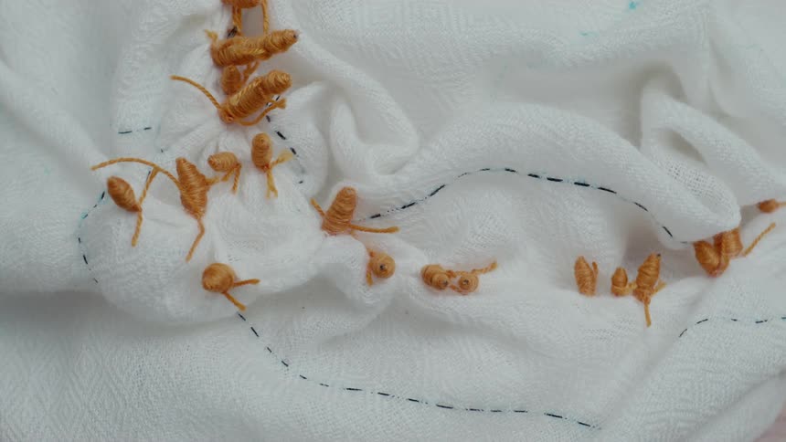A close up of some thread on a piece of fabric