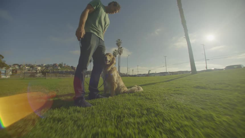 Man stands on grass holding the leash of a dog sitting in a park under sunlight
