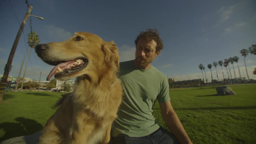 A man sits in a grassy park with a golden retriever that has its tongue out and looks around the background features a clear blue sky several tall palm trees and a few distant buildings