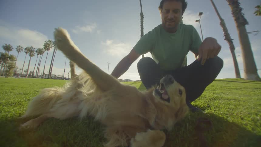 The man pets dogs belly