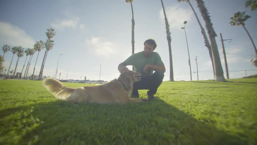 Man crouches on grass while interacting with a dog lying in a park with palm trees