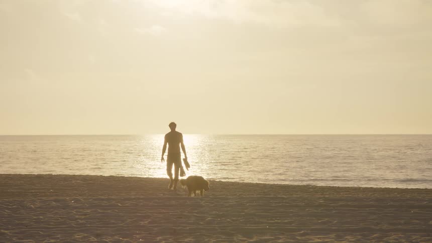 Man silhouetted by the sun shining from the horizon walks on the beach with his dog