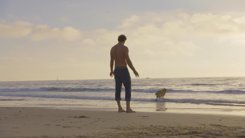 A shirtless man walks on a beach while his dog runs into the ocean