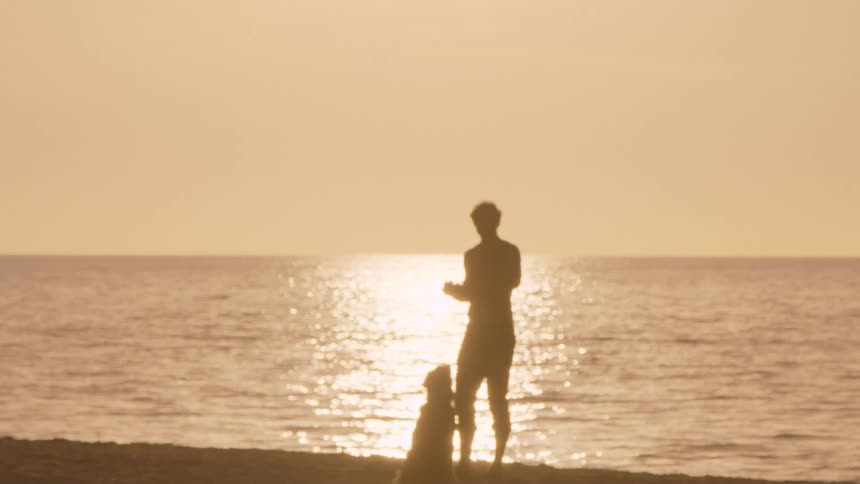 Person with dog on sand during sunset