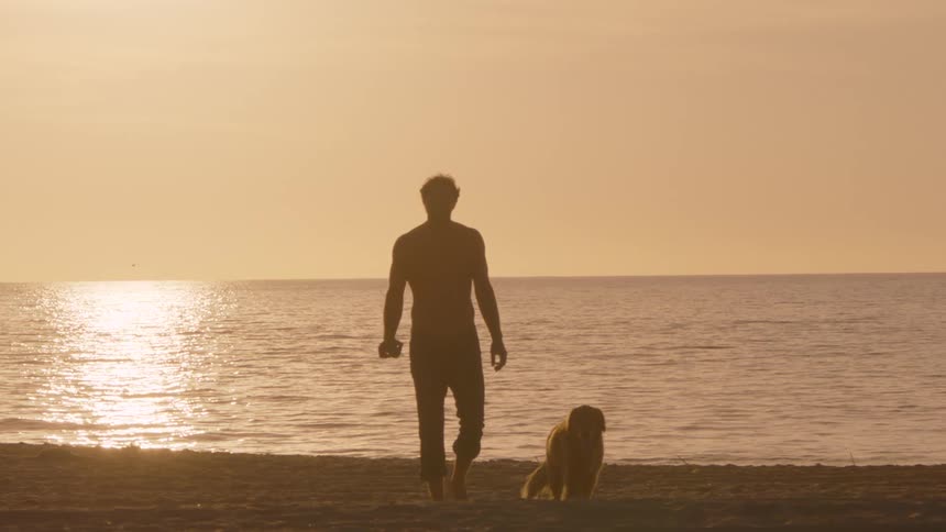 A man walks slowly across a sandy beach toward the ocean during a golden sunseta golden retriever walks faithfully alongside him as they move toward the shimmering water