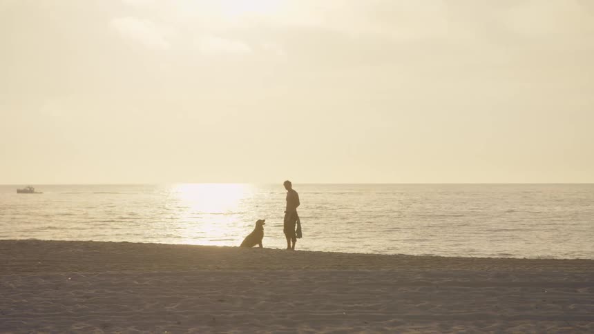The man is facing his dog on the beach