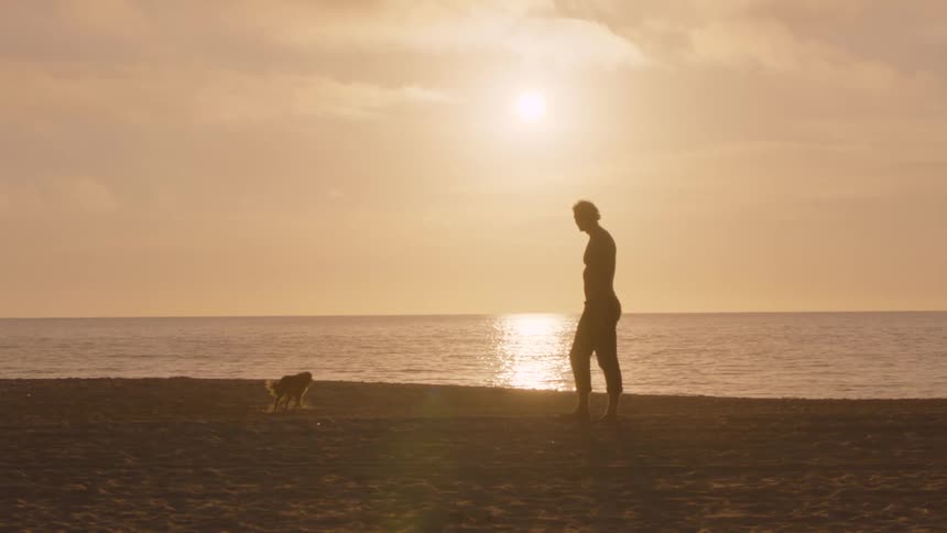 A silhouetted man stands with his dog on a quiet beach during a golden sunset
