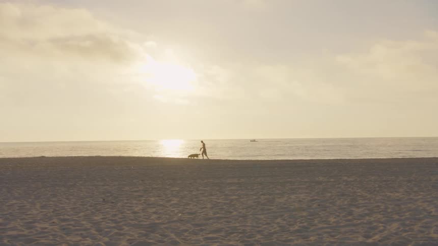 Person walks with a dog along the shoreline facing the sea under low evening light
