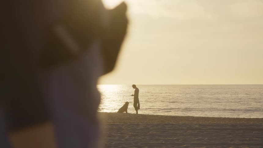 Person and dog on the beach at sunset with serene atmosphere and golden light reflecting on the sea