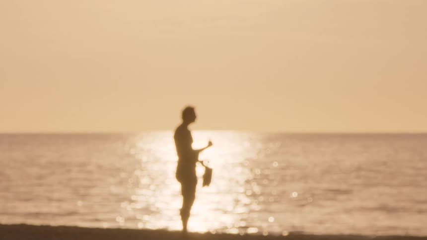 Adult on beach during sunset