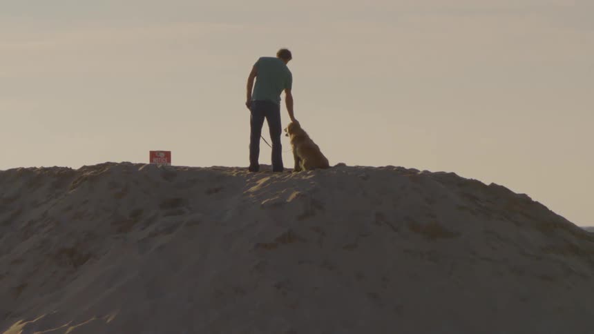 A man in a blue shirt stands atop a large sand dune at dusk gently petting a golden retriever that is sitting patiently beside him while the ocean and a small boat are visible in the distant background