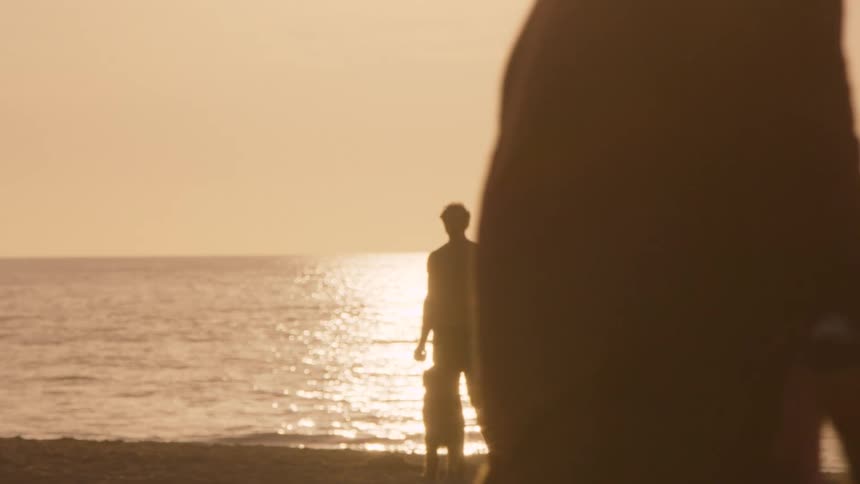 The dog stands with its owner on the beach
