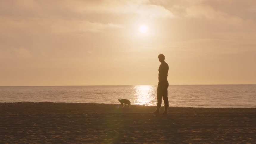 A person standing on the beach with a dog