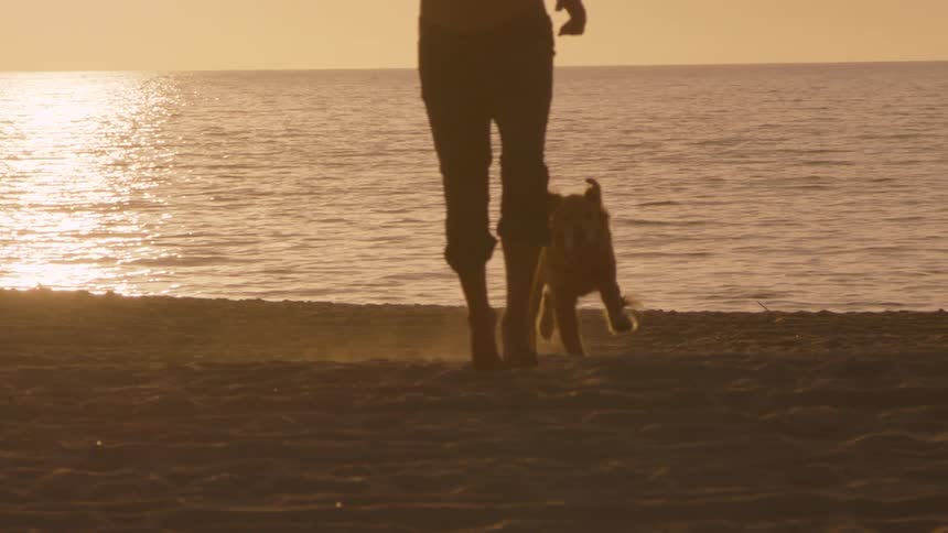 Man running on the beach with his dog