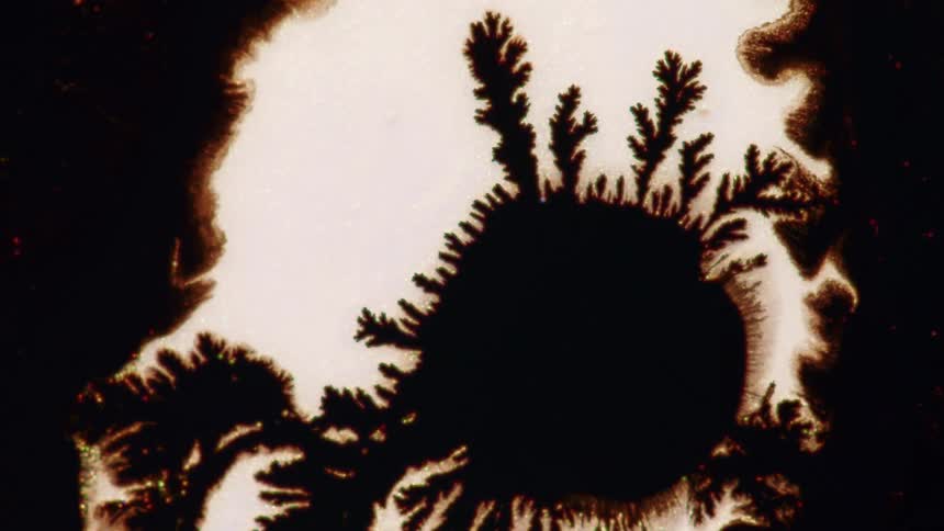 A dark liquid spreads in intricate branching patterns across a white surface