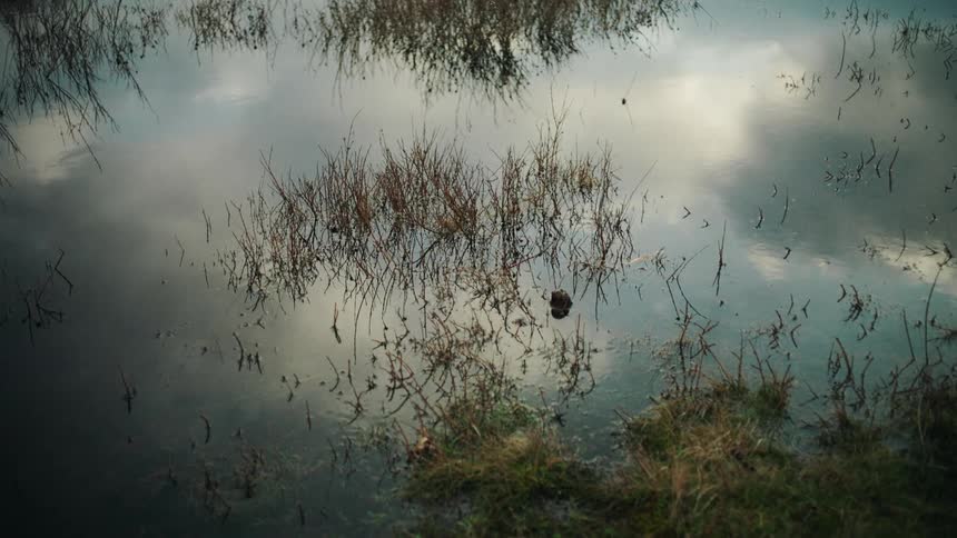 The clouds reflect on the pond