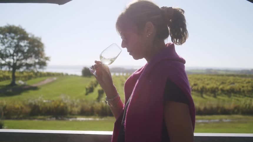 A woman stands on a balcony overlooking a sundrenched vineyard while holding a glass of white wineshe lifts the glass to her nose to swirl and smell the bouquet silhouetted against the bright outdoor landscape