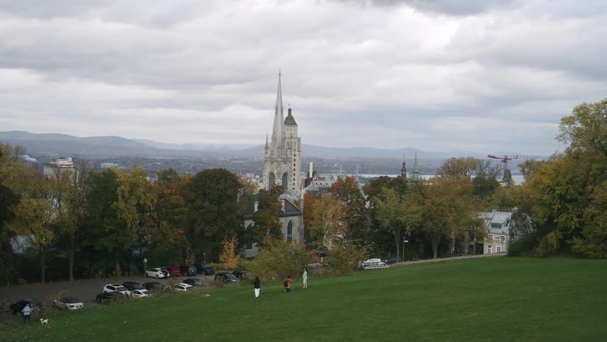 Park with grass and trees and a church in the background