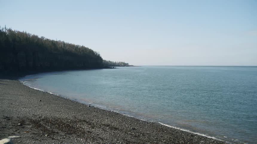 Seascape with forest on the shore