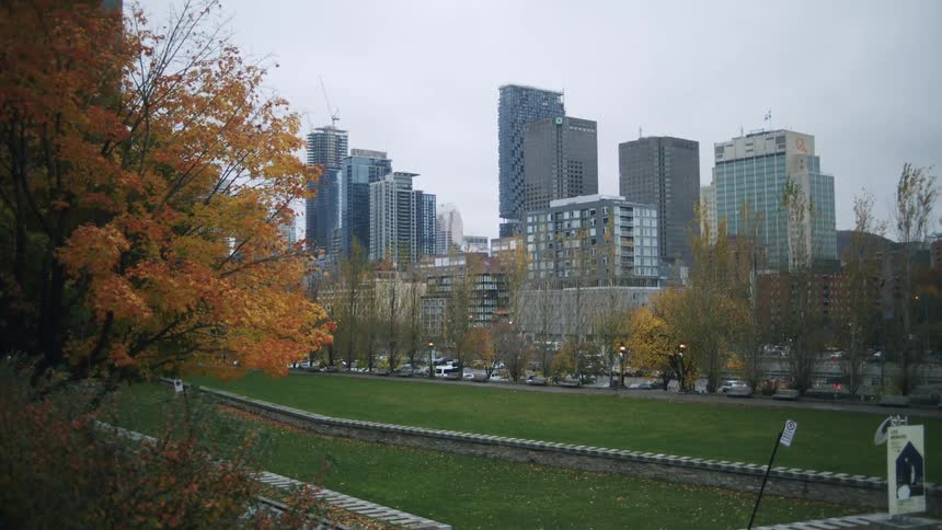 Vibrant autumn leaves frame a sprawling city skyline under an overcast sky with a long green park creating a natural foreground