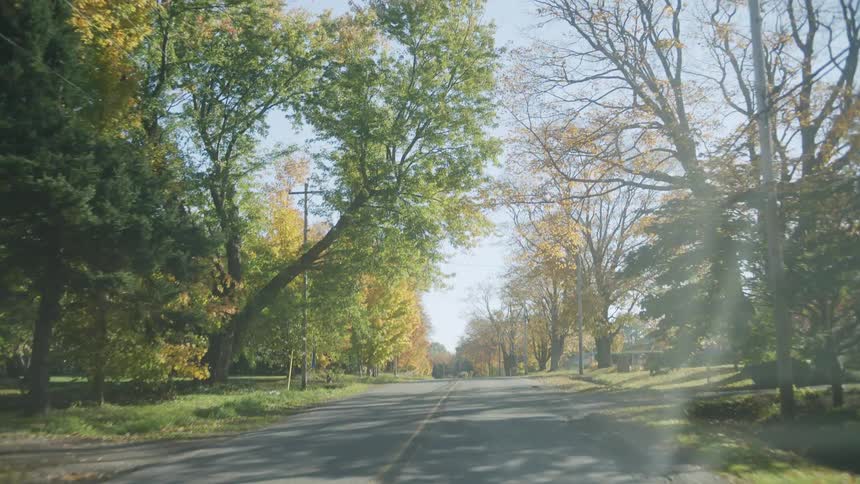 Neighborhood street with trees in fall colors