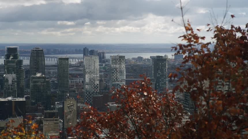 A city skyline on a cloudy fall day with a tree in the foreground covered in brown leaves