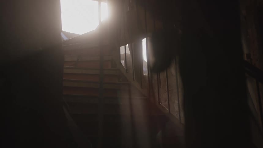 Sunlight is shining into the basement from the stairs