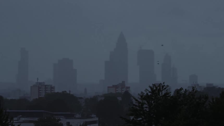 A flock of birds flies in a scattered line across the upper right side of the frame moving through the hazy overcast sky above the citythe silhouette of the city skyline creates a jagged horizontal line across the center of the image where the tops