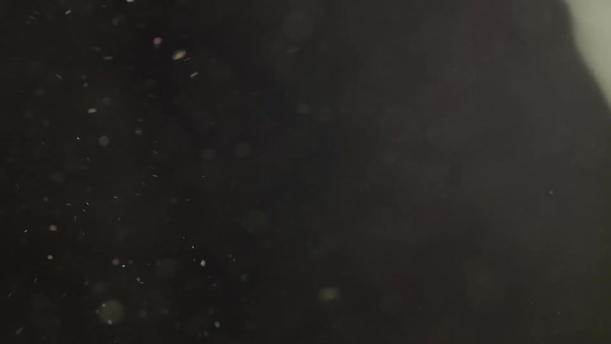 Small particles of dust drift slowly through a dark space illuminated by a soft warm light source the gentle movement and blurred background create a serene atmospheric quality throughout the footage