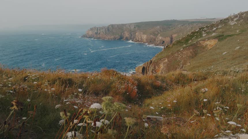 Grass and plants on mountains overlooking the coast move in the breeze